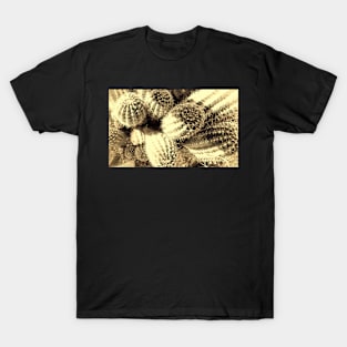 Cacti - photography T-Shirt